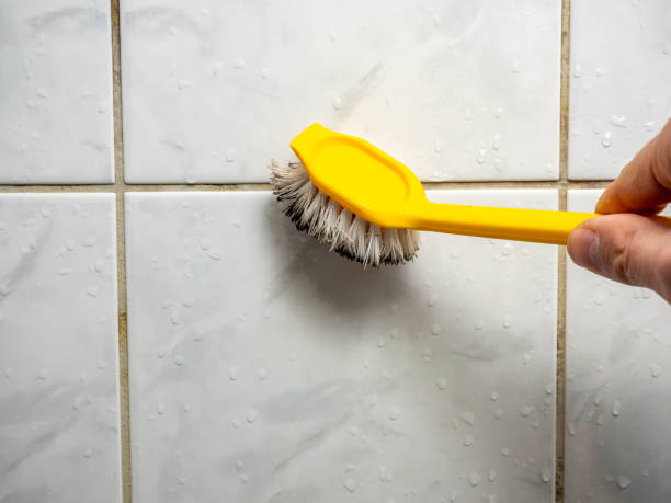 Best Office Mold Removal Services  in Honaker, VA