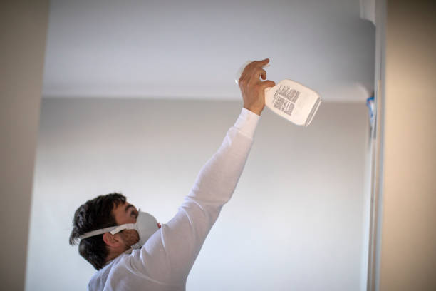 Best Office Mold Removal Services  in Honaker, VA