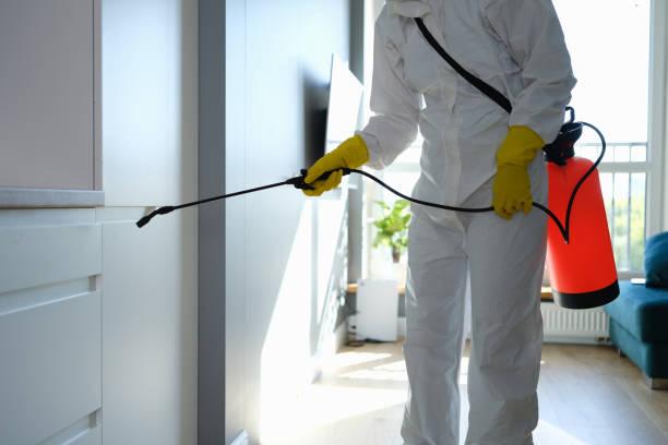 Best Crawl Space Mold Removal  in Honaker, VA