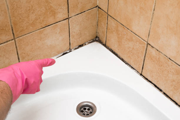 Best Mold Cleaning Services  in Honaker, VA